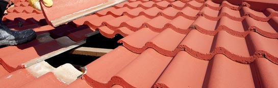 compare Logie Pert roof repair quotes