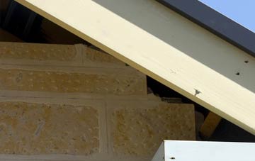 soffit repair Logie Pert