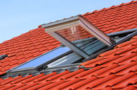 Logie Pert roof window